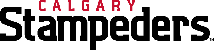 Calgary Stampeders 2012-Pres Wordmark Logo iron on paper